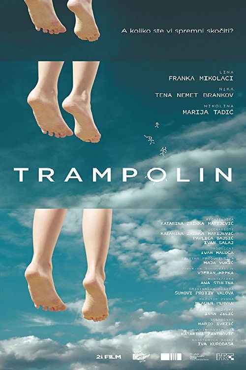 Movie poster for The Trampoline (2017)