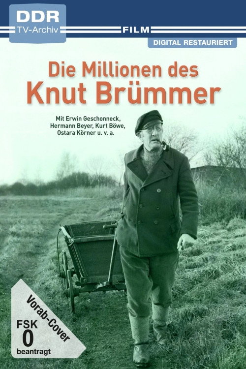 Movie poster for Die Millionen des Knut Brümmer (1977)