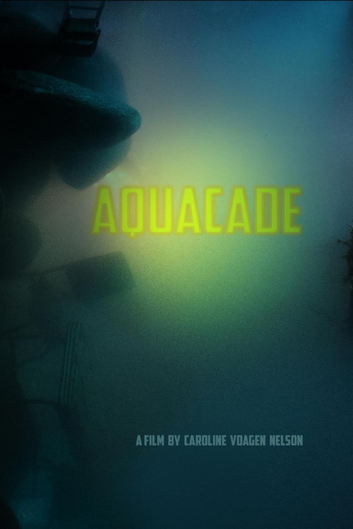 Movie poster for Aquacade (2017)