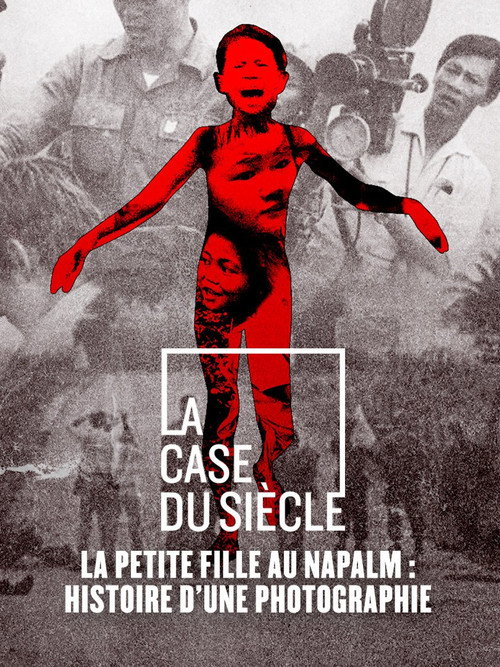 Movie poster for Das Mädchen und das Foto (2010)
