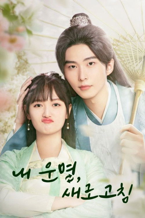 Rewriting Destiny poster