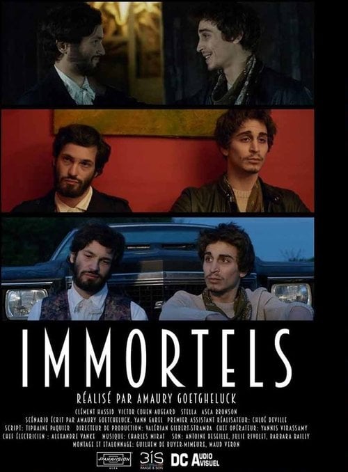 Movie poster for Immortals (2017)