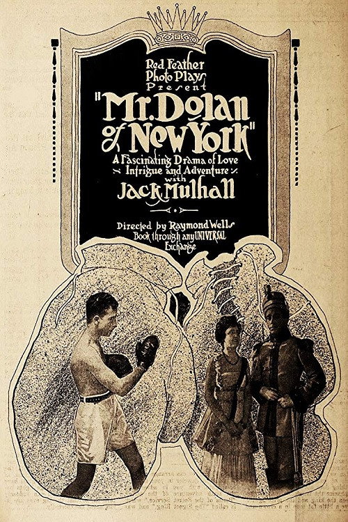 Movie poster for Mr. Dolan of New York (1917)