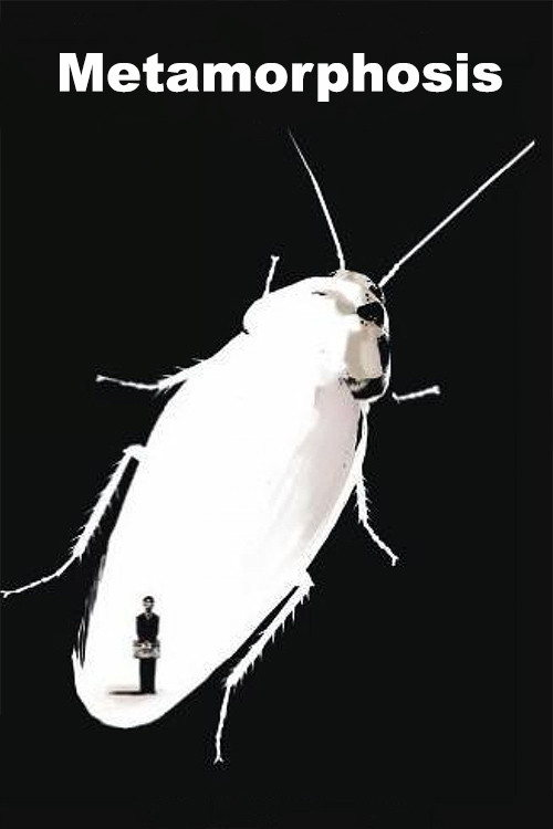 Movie poster for Metamorphosis (1975)