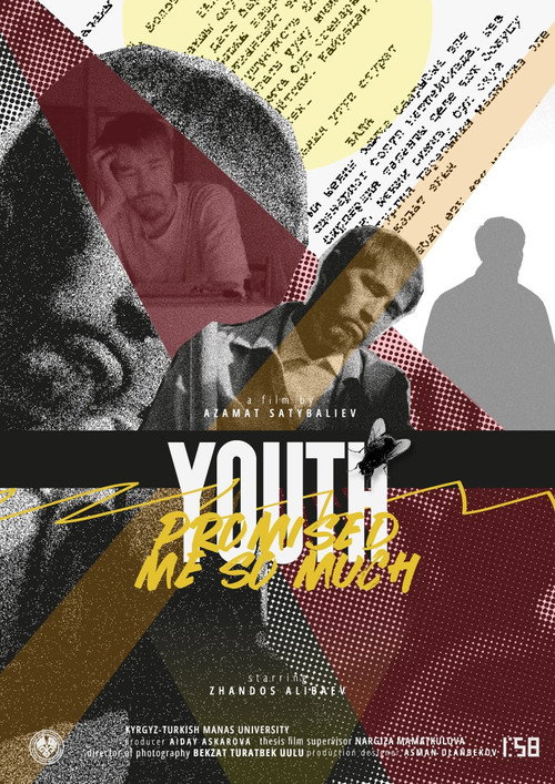 Movie poster for Youth promised me so much