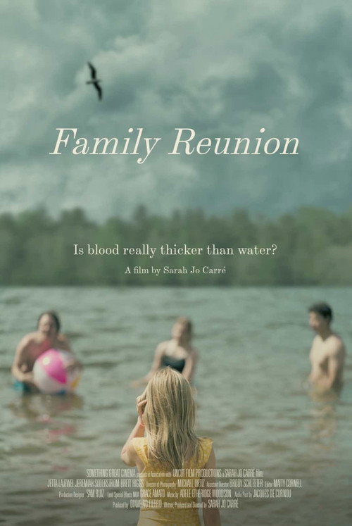 Movie poster for Family Reunion