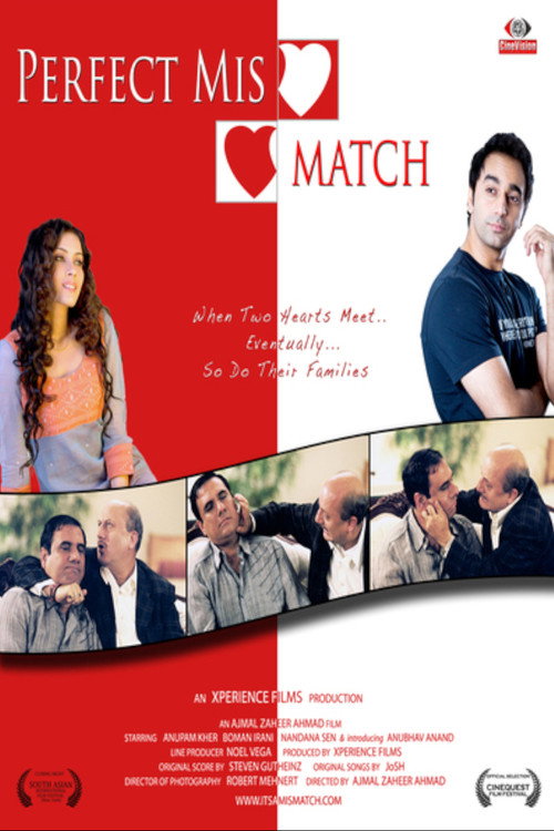 Movie poster for Perfect Mismatch (2009)