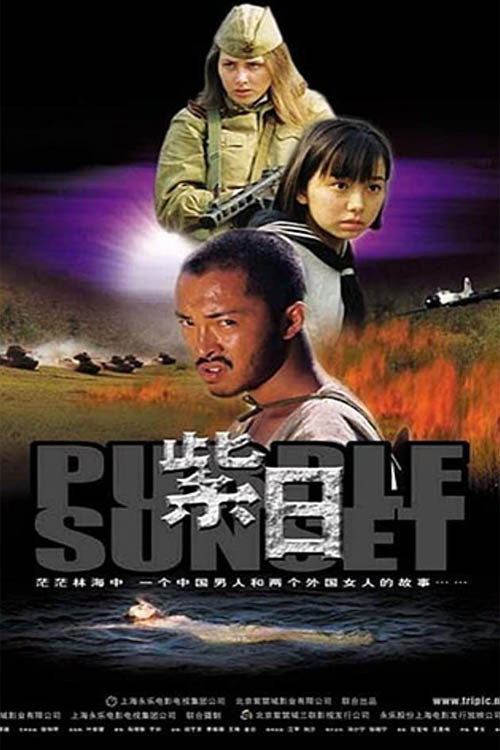Movie poster for Purple Sunset (2001)