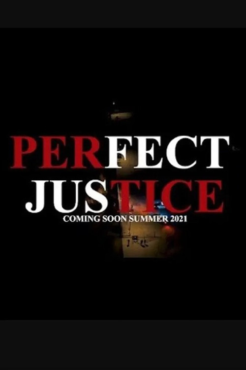 Movie poster for Perfect Justice (2021)