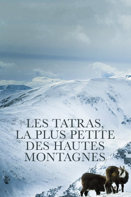 Movie poster for Die Hohe Tatra - Leben am Abgrund (2019)