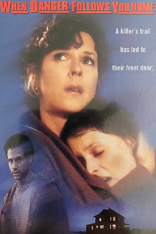Movie poster for When Danger Follows You Home (1997)