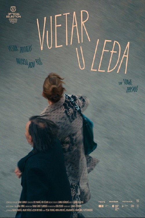 Movie poster for Wind Beneath the Wings (2026)