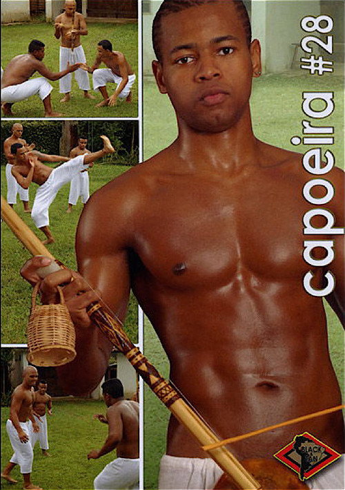 Movie poster for Capoeira 28 (2008)