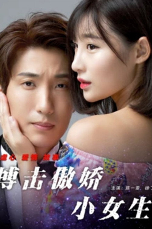 Movie poster for 搏击傲娇小女生 (2017)