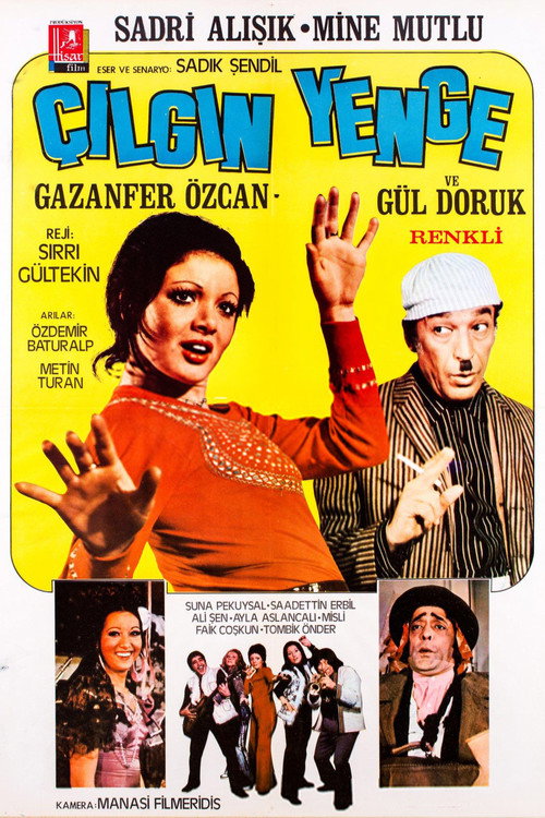 Movie poster for Çılgın Yenge (1972)