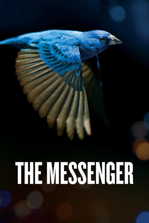 Movie poster for The Messenger (2015)