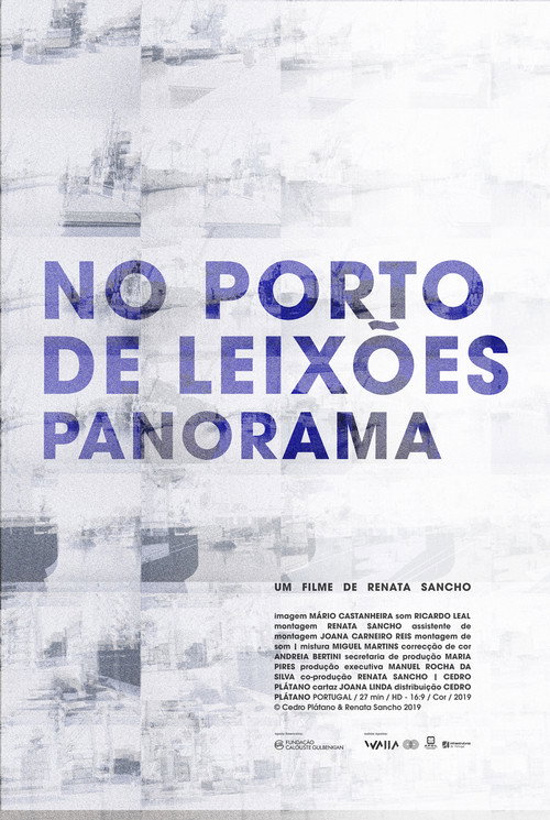 Movie poster for No Porto de Leixões - Panorama (2019)