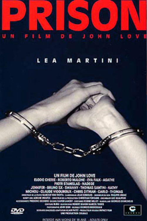 Movie poster for Prison (1997)