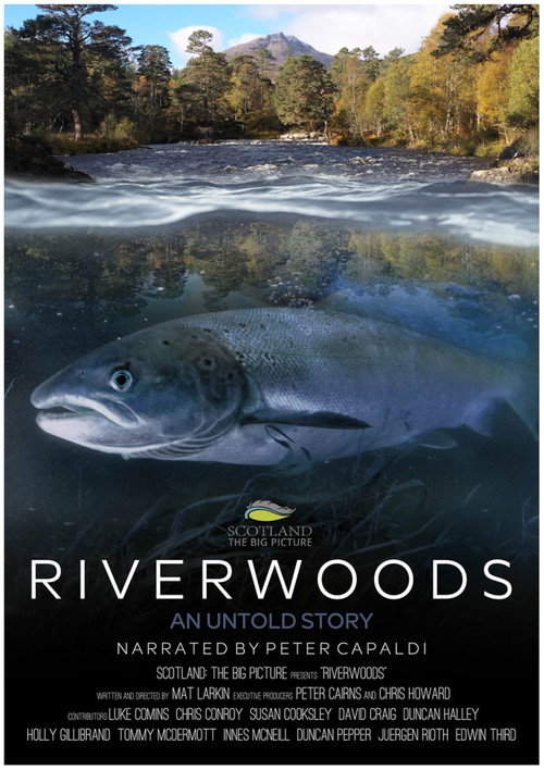 Movie poster for Riverwoods: An Untold Story (2022)