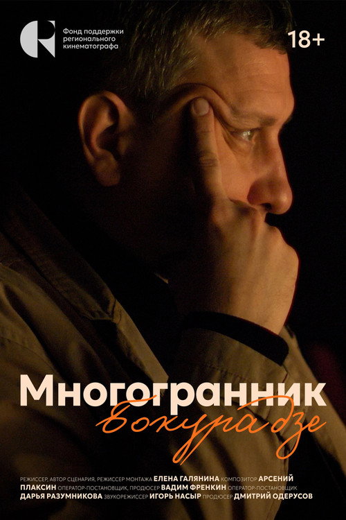 Movie poster for Многогранник Бокурадзе (2025)