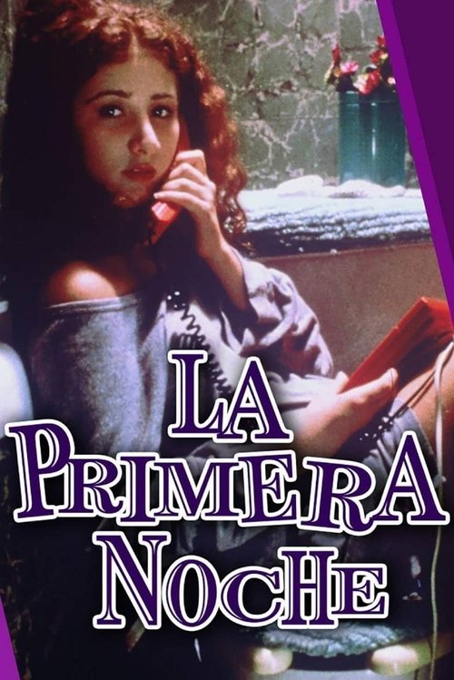 Movie poster for The First Night (1998)