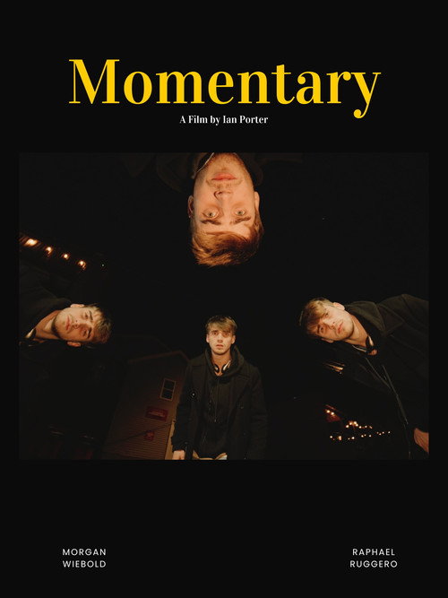 Movie poster for Momentary (2024)