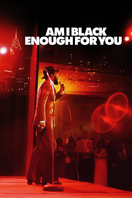 Movie poster for Am I Black Enough for You (2009)