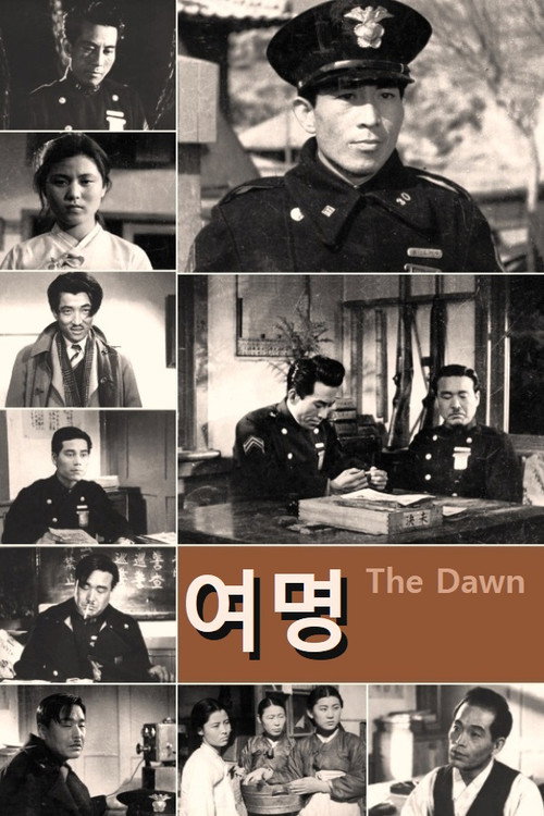Movie poster for The Dawn (1948)