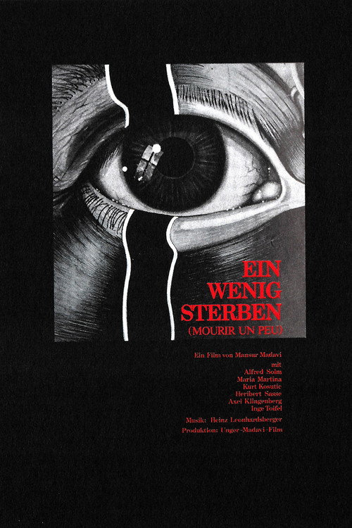 Movie poster for Dying Bit by Bit (1981)
