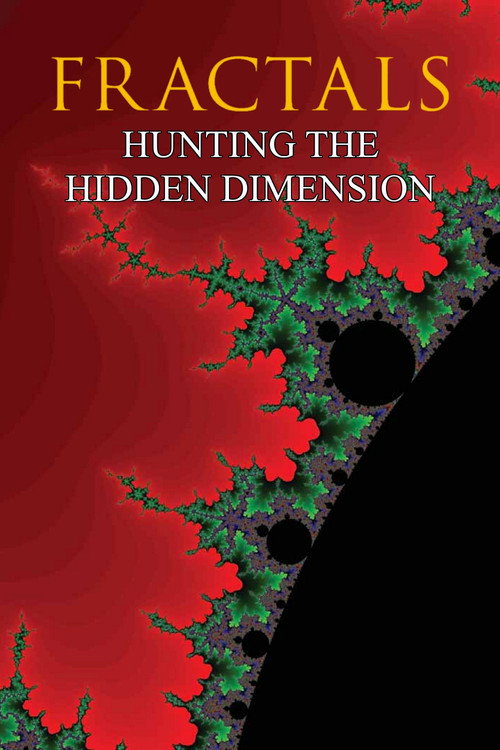 Movie poster for Fractals: Hunting the Hidden Dimension (2008)