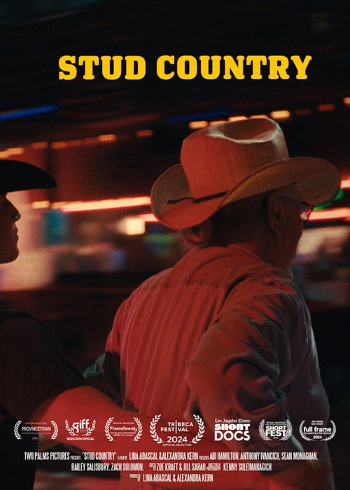 Movie poster for Stud Country (2024)