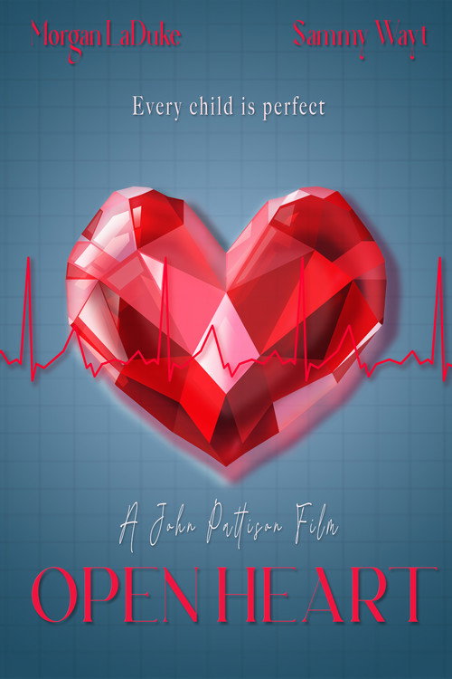 Movie poster for Open Heart