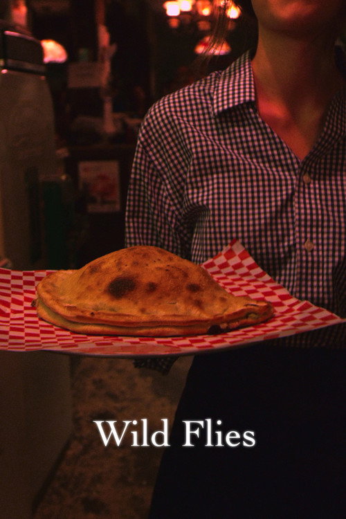 Movie poster for Wild Flies (2016)