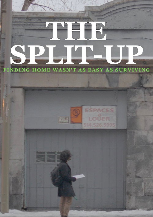 Movie poster for The Split-Up (2024)