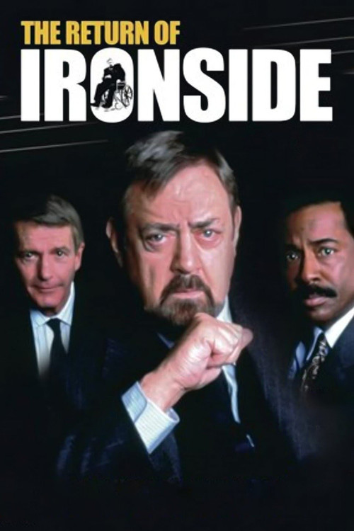 Movie poster for The Return of Ironside (1993)