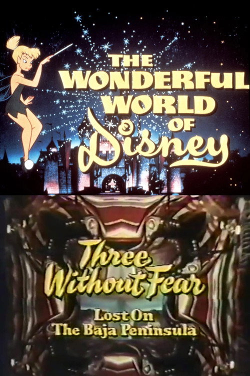 Movie poster for Three Without Fear (1971)