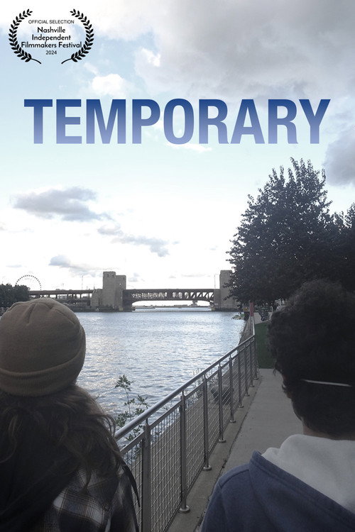 Movie poster for Temporary (2025)