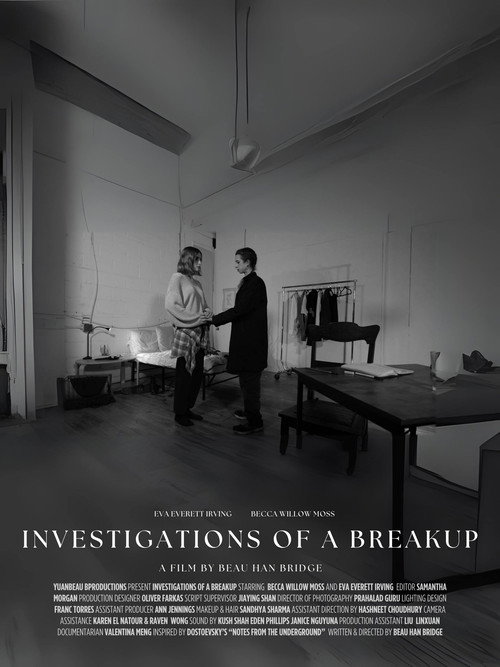 Movie poster for Investigations of a Breakup (2025)