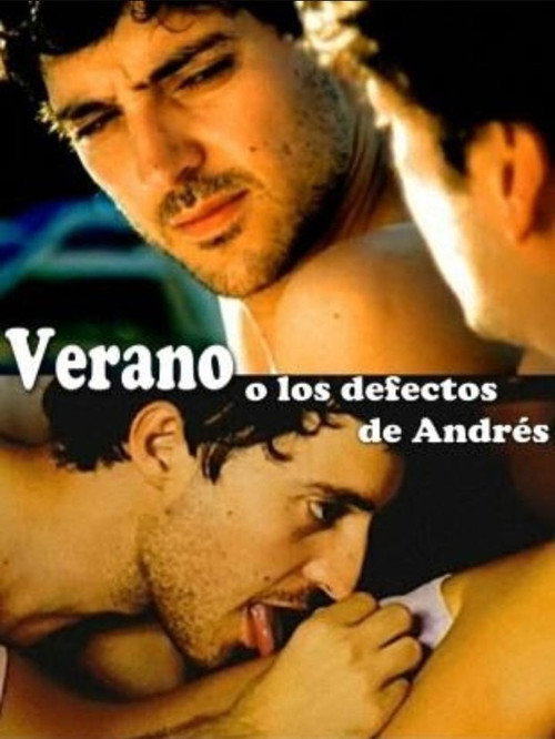 Movie poster for Summer or The Flaws of Andrés (2006)