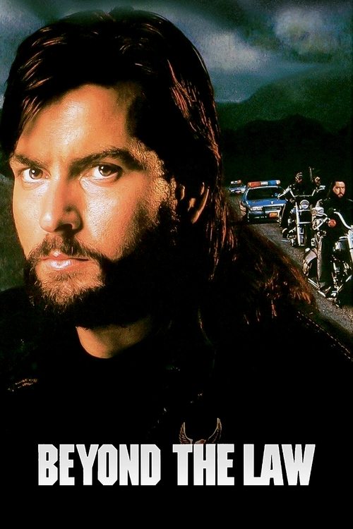 Movie poster for Beyond the Law (1993)