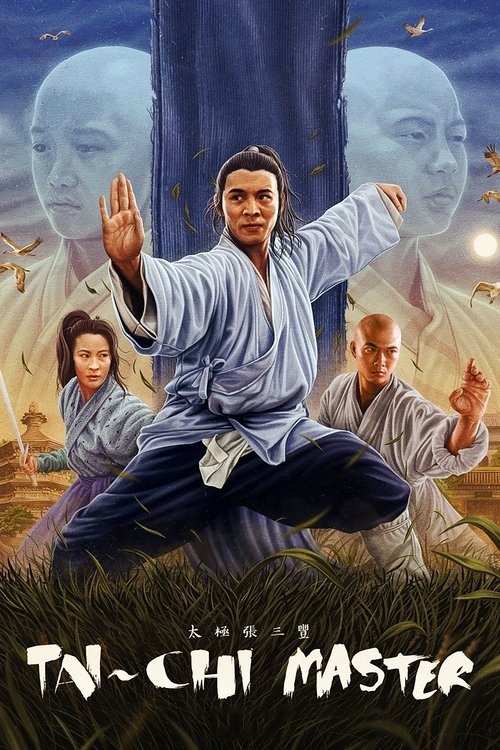 Movie poster for Tai-Chi Master (1993)