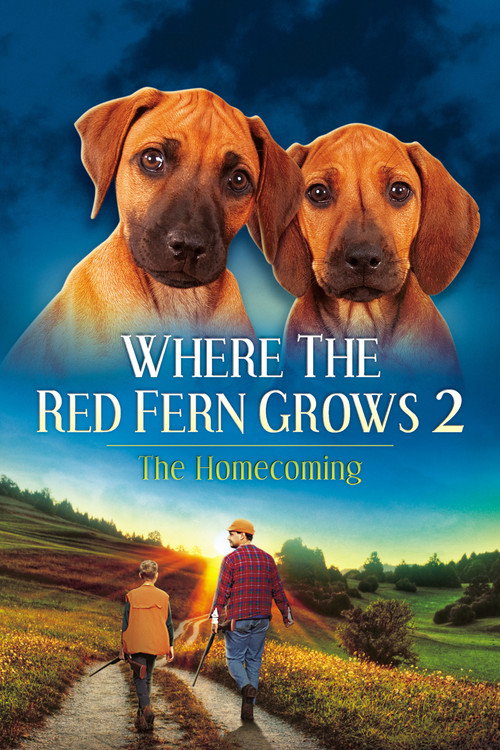Movie poster for Where The Red Fern Grows Part 2 (1992)