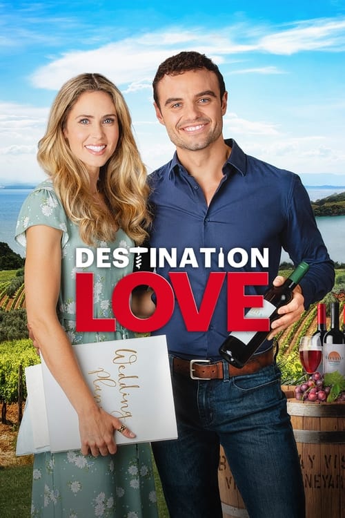 Movie poster for Destination Love (2022)