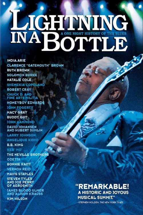 Movie poster for Lightning in a Bottle (2004)