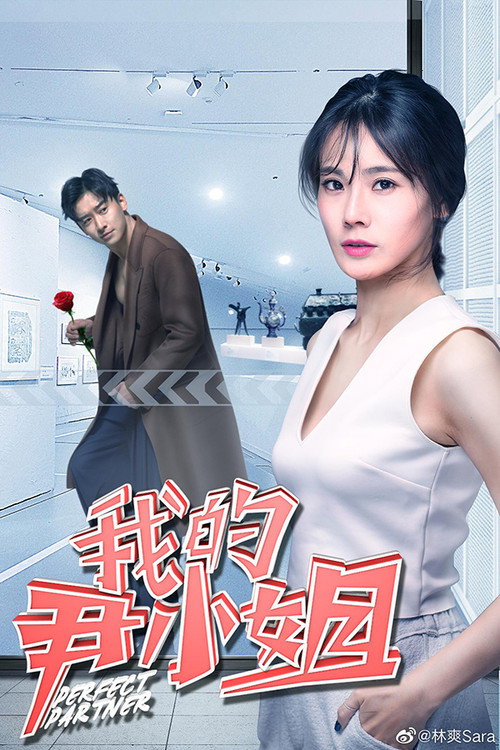 Movie poster for Perfect Partner (2019)
