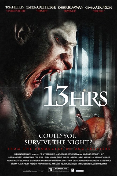 Movie poster for 13Hrs (2010)