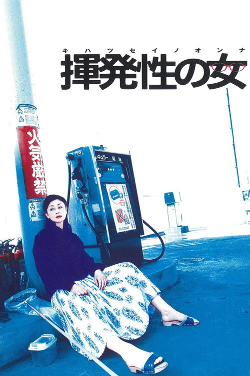 Movie poster for The Volatile Woman (2004)