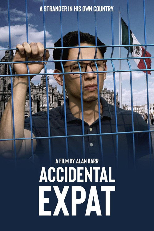 Movie poster for Accidental Expat (2024)
