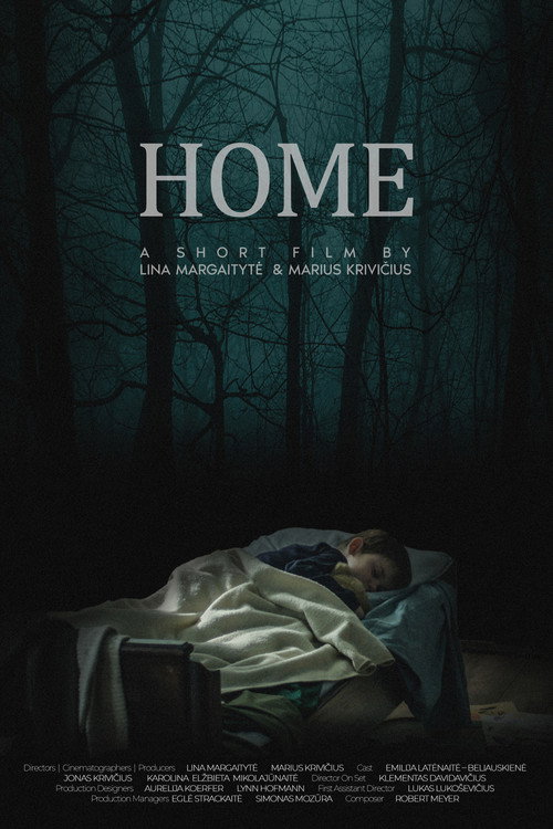 Movie poster for Home (2020)
