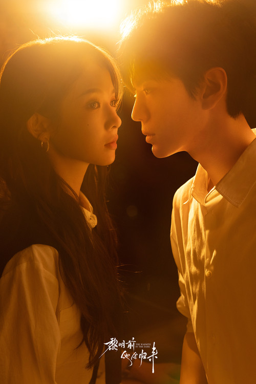 The Warmth in the Dark poster